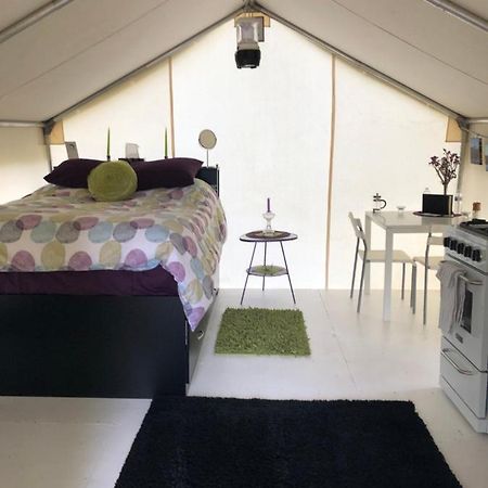 Vines And Puppies Glamping Hideaway Hotel Jade City Exterior foto