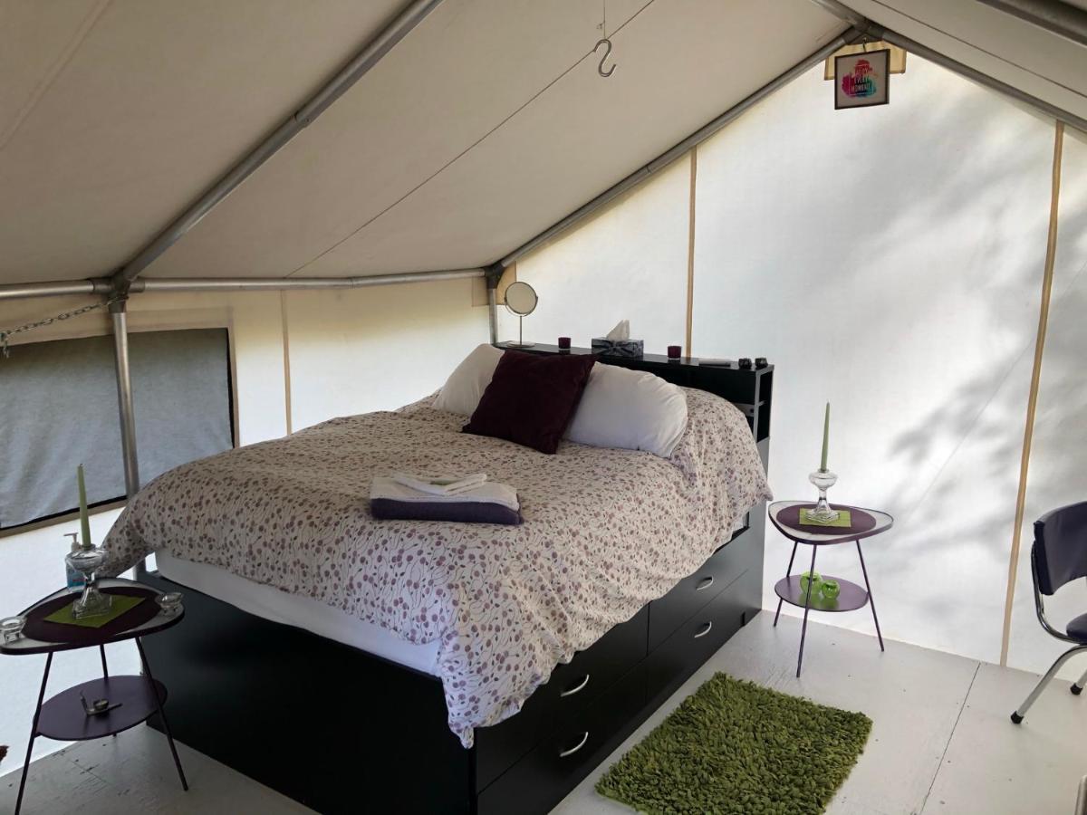 Vines And Puppies Glamping Hideaway Hotel Jade City Exterior foto